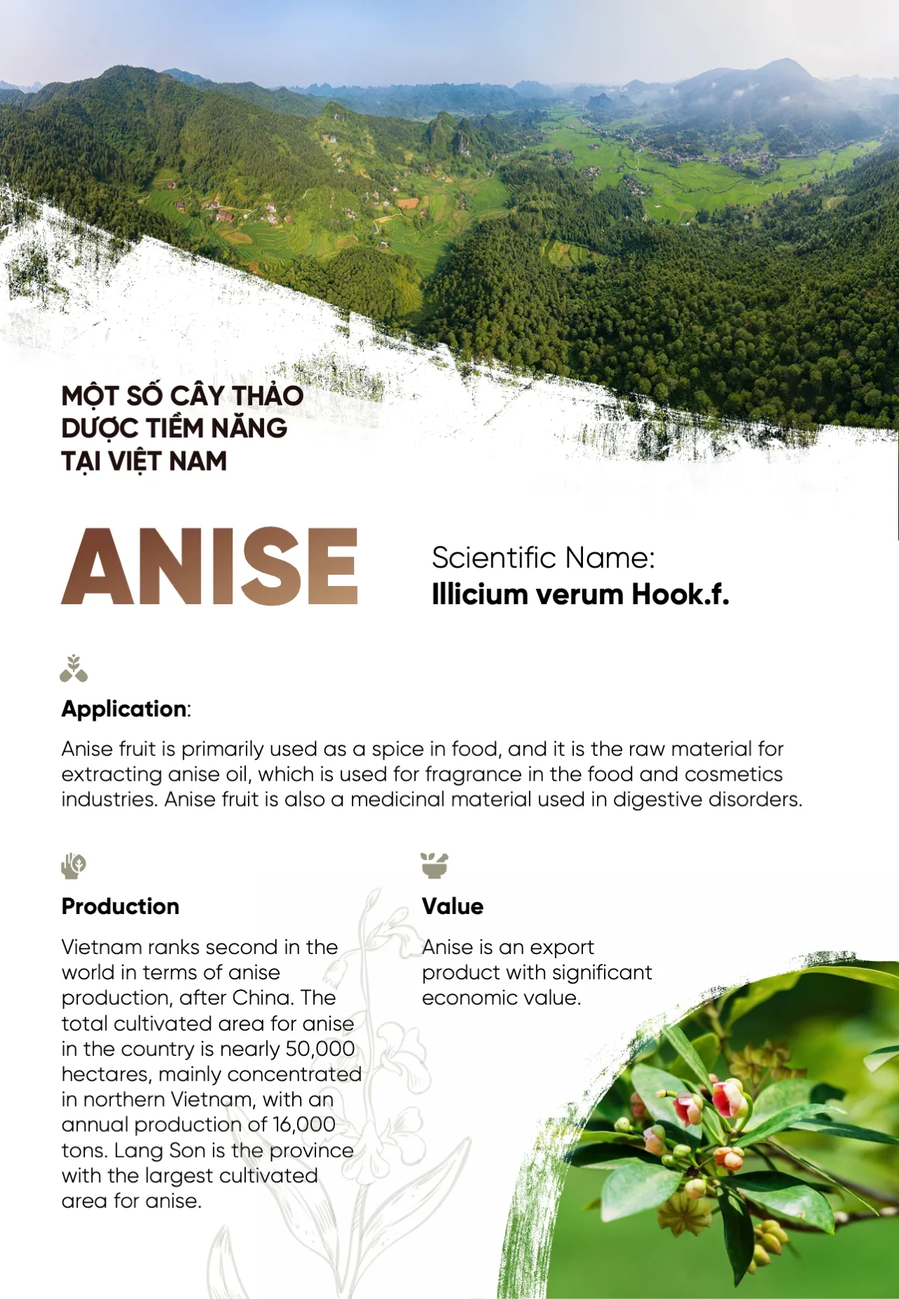Slide12