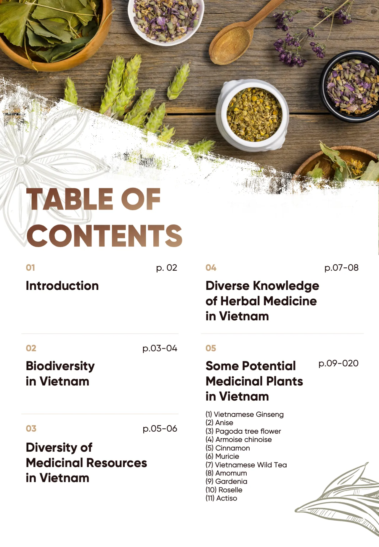 Slide3